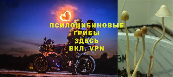синтетический гашиш Коряжма